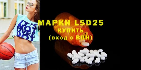 ECSTASY Алзамай