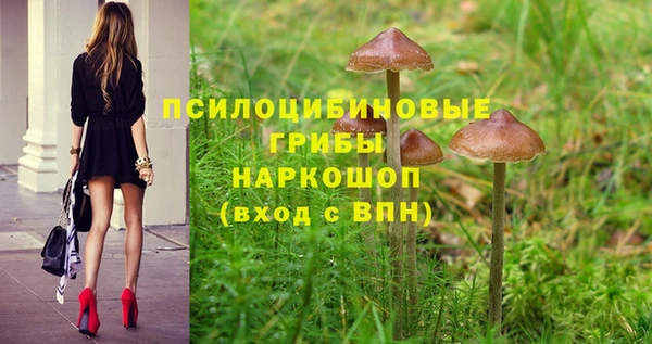 синтетический гашиш Абдулино