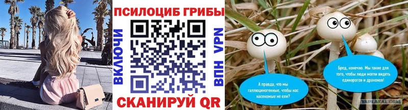 Псилоцибиновые грибы Magic Shrooms  кракен ONION  Костерёво  даркнет сайт 